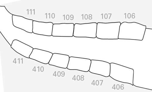 waves.gif